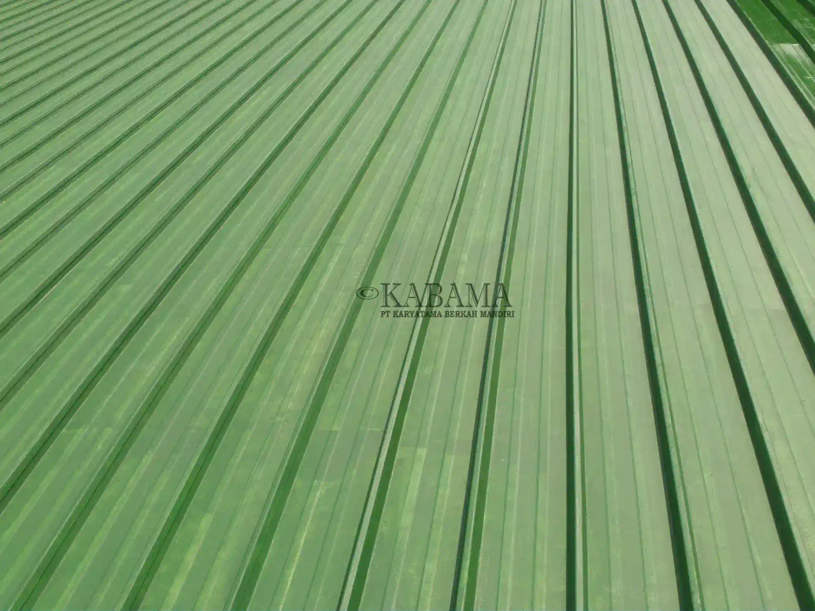 Dokumentasi proyek waterproofing hydroflex